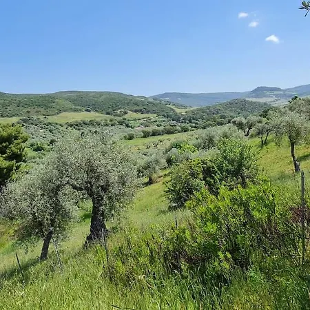 Appartamento Sph24 Casa In Campagna A Valverde Valverde (Sardinia)